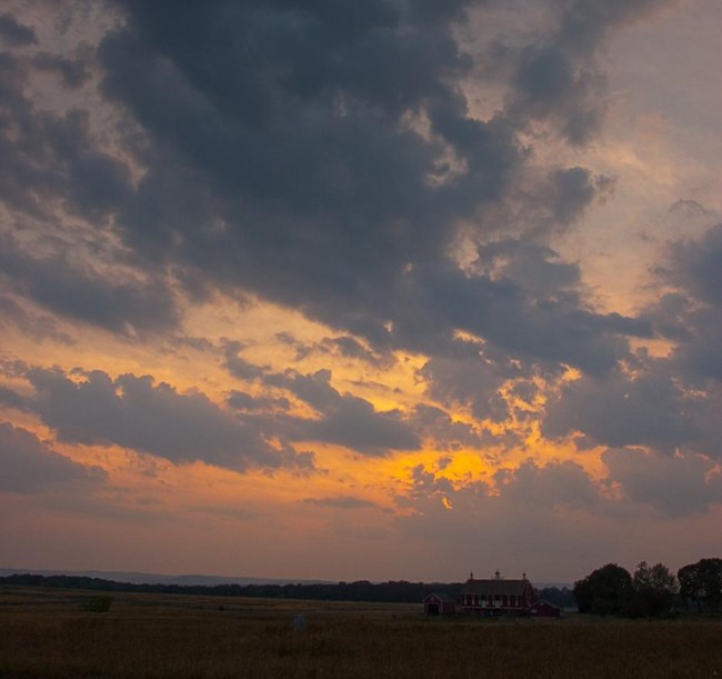 Puffy clouds in an orange sky over an open, grassy landscape