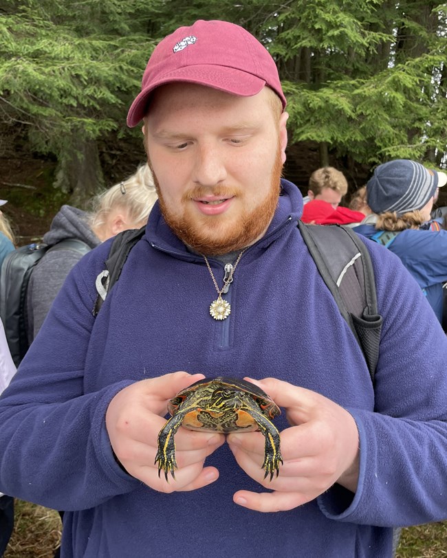 Many in baseball cap holds a turtle in his two hands in front of his chest.
