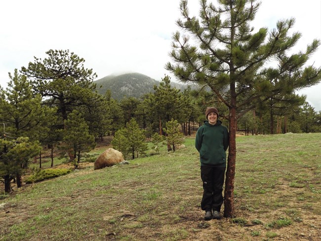 Alison Gause, Ecology Assistant Woman in sweatshirt, hat, and long pants stands next to a pine tree in open pine woodland.
