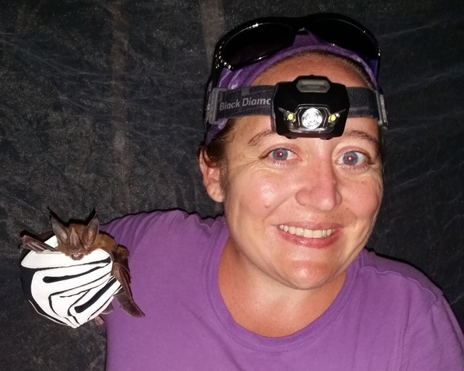 Smiling woman with headlamp holds a small brown bat in her gloved hand, in front of a mist net.