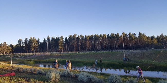 Scientists near water setting up mist nets to capture bats.