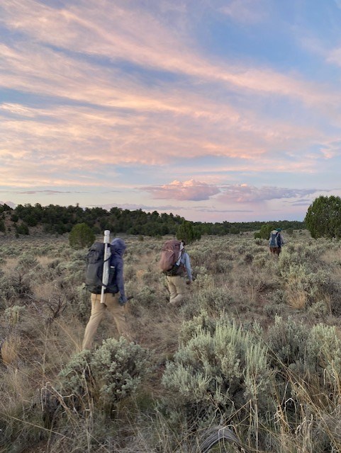 Early morning Integrated Upland Vegetation monitoring Three people walking away from viewer through sagebrush with sunrise pink clouds in sky