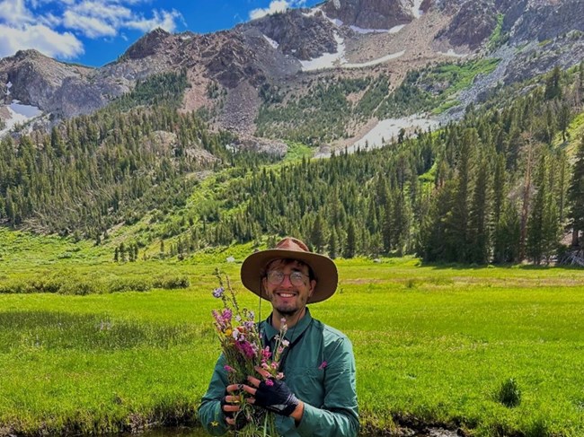 James Bardo, Vegetation Technician Man standing in large meadow surrounded my mountains holds collected flowering plants