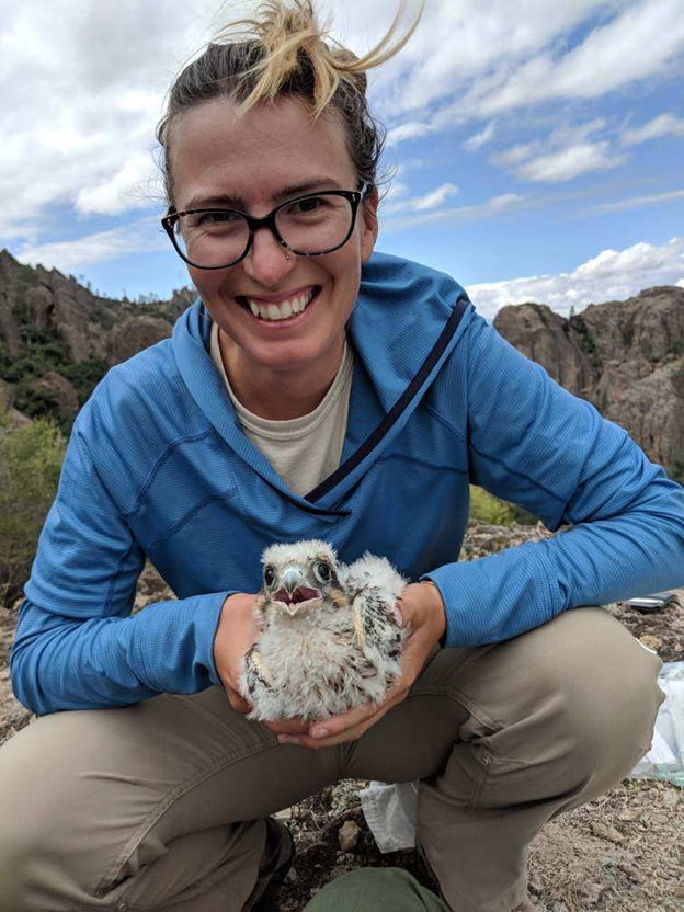 Kimber Godfrey, Biological Technician Kneeling woman in blue shirt holding a raptor nestling in her two hands