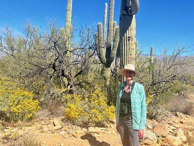 Woman in sun hat standing in front of desert shrubs and tall columnar cacti