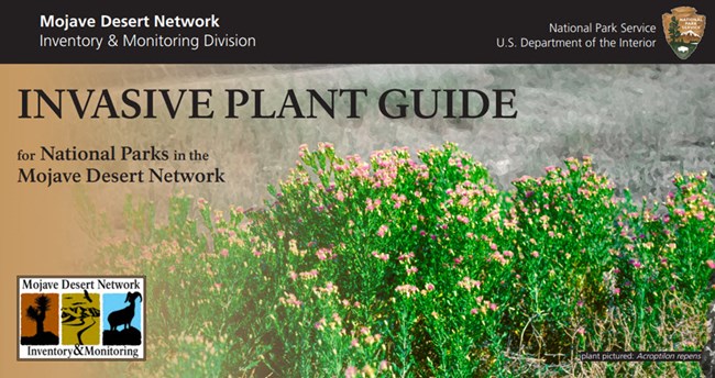 Cover of the invasive plant guide