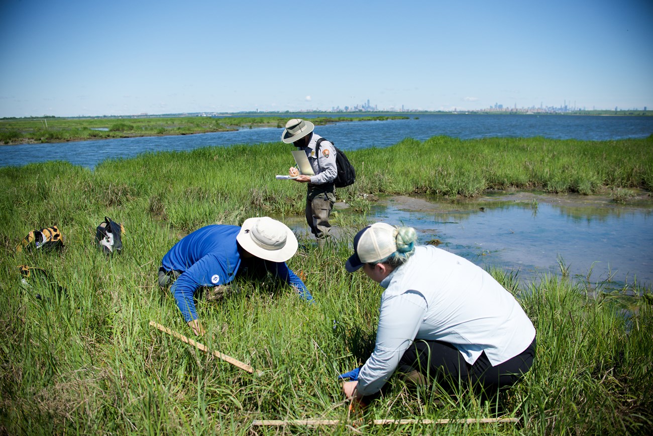 NPS scientist and two interns conducting fieldwork