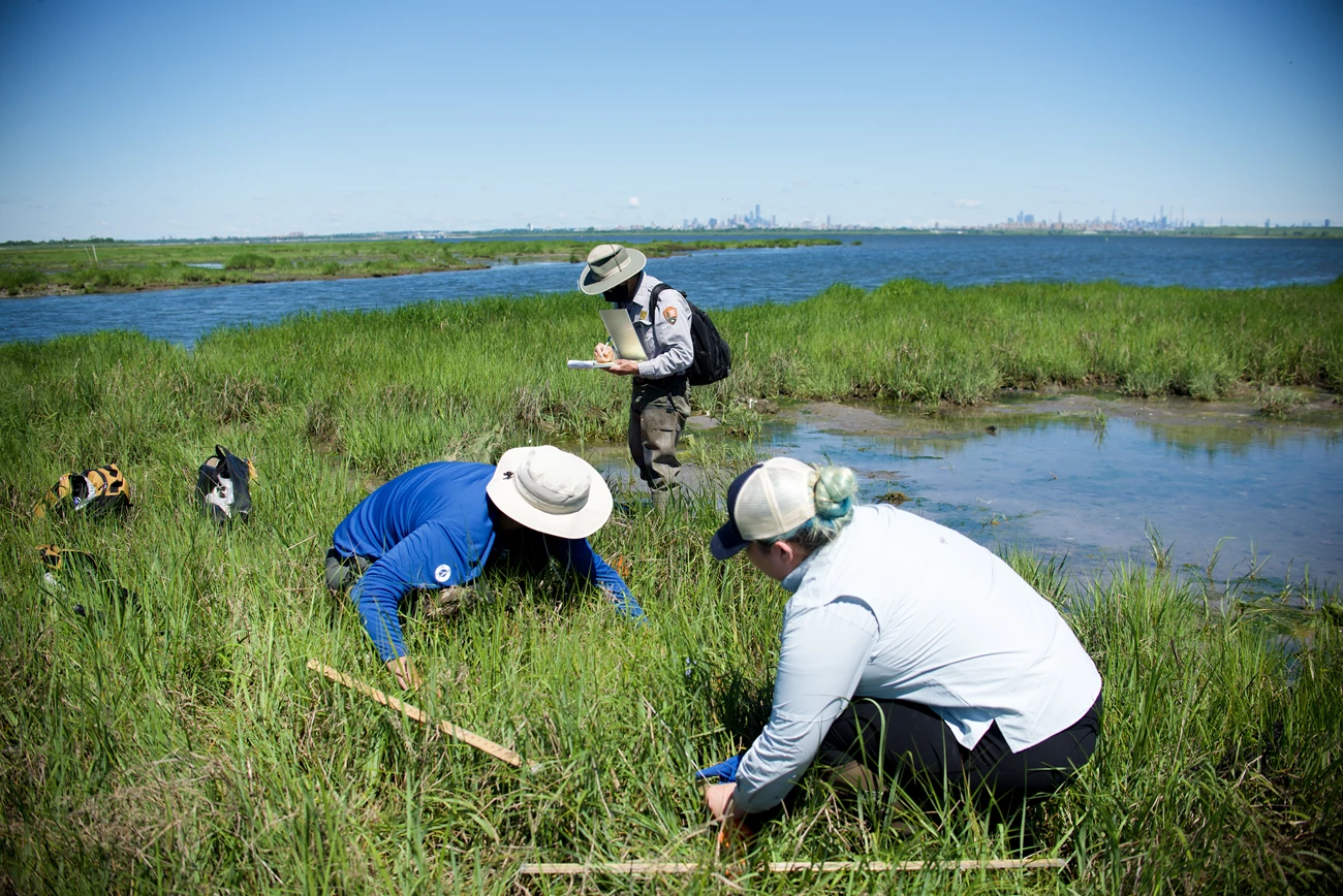 Big Egg Fieldwork NPS scientist and two interns conducting fieldwork