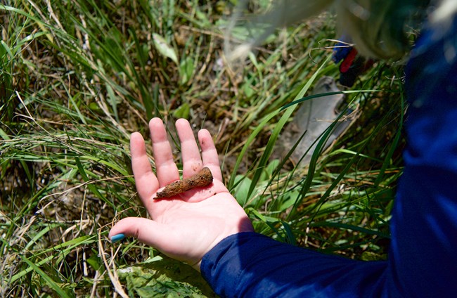 Hand holding a rusted nail the size of a thumb