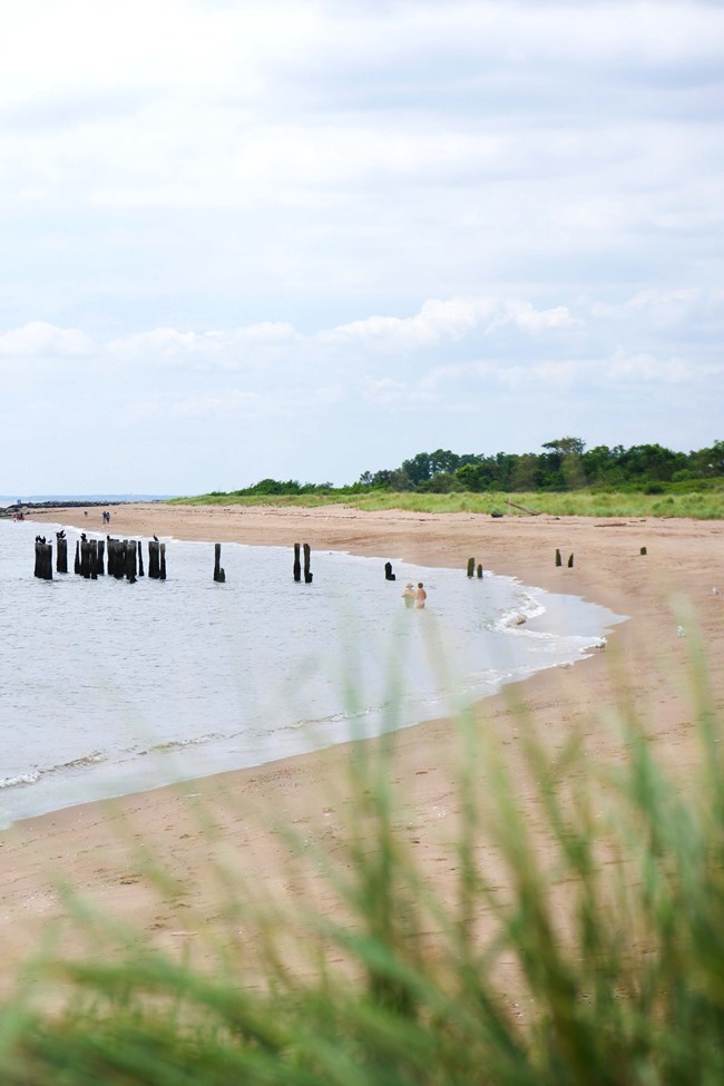 A beach curves into the background. Grass lines the foreground and the higher grounds on the beach