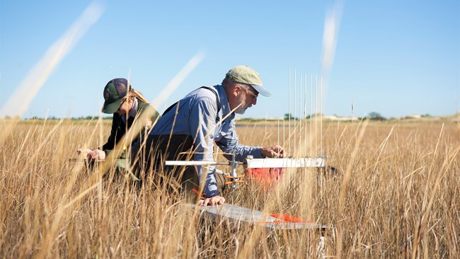 Two NPS scientists sit in a salt marsh collecting data