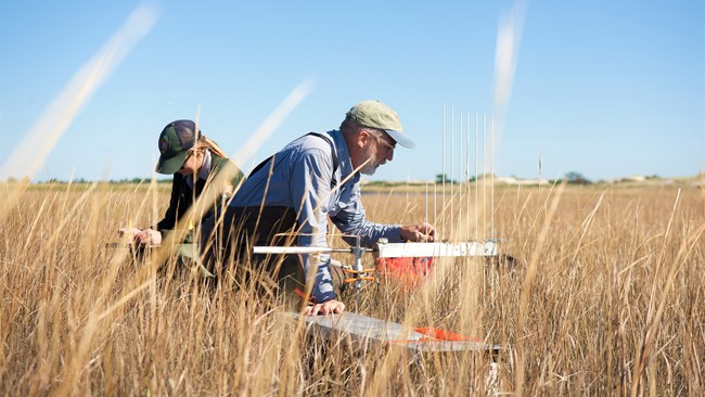 Reading elevation table at FIIS Two NPS scientists sit in a salt marsh collecting data
