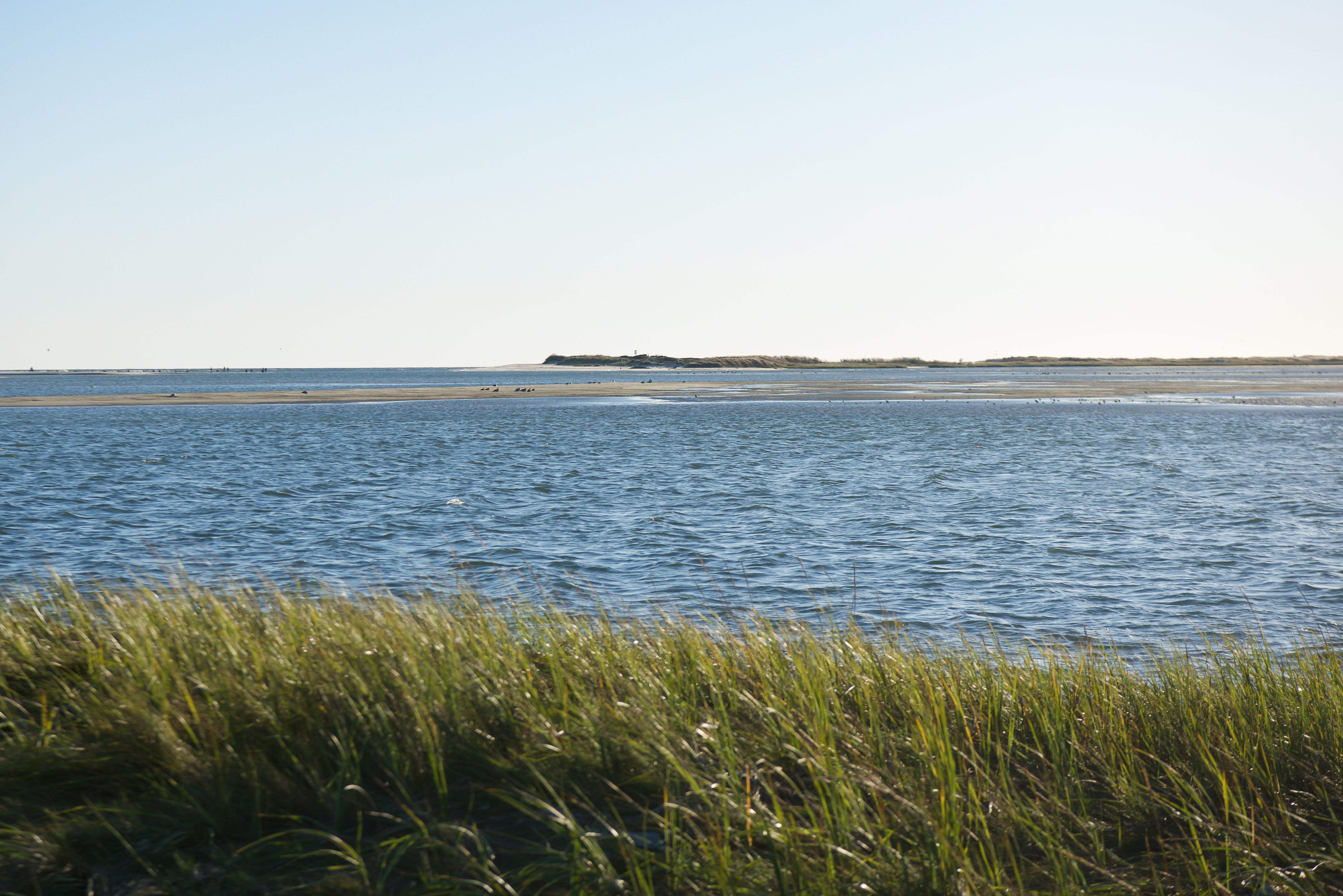 Blue water separates two expanses of marshland