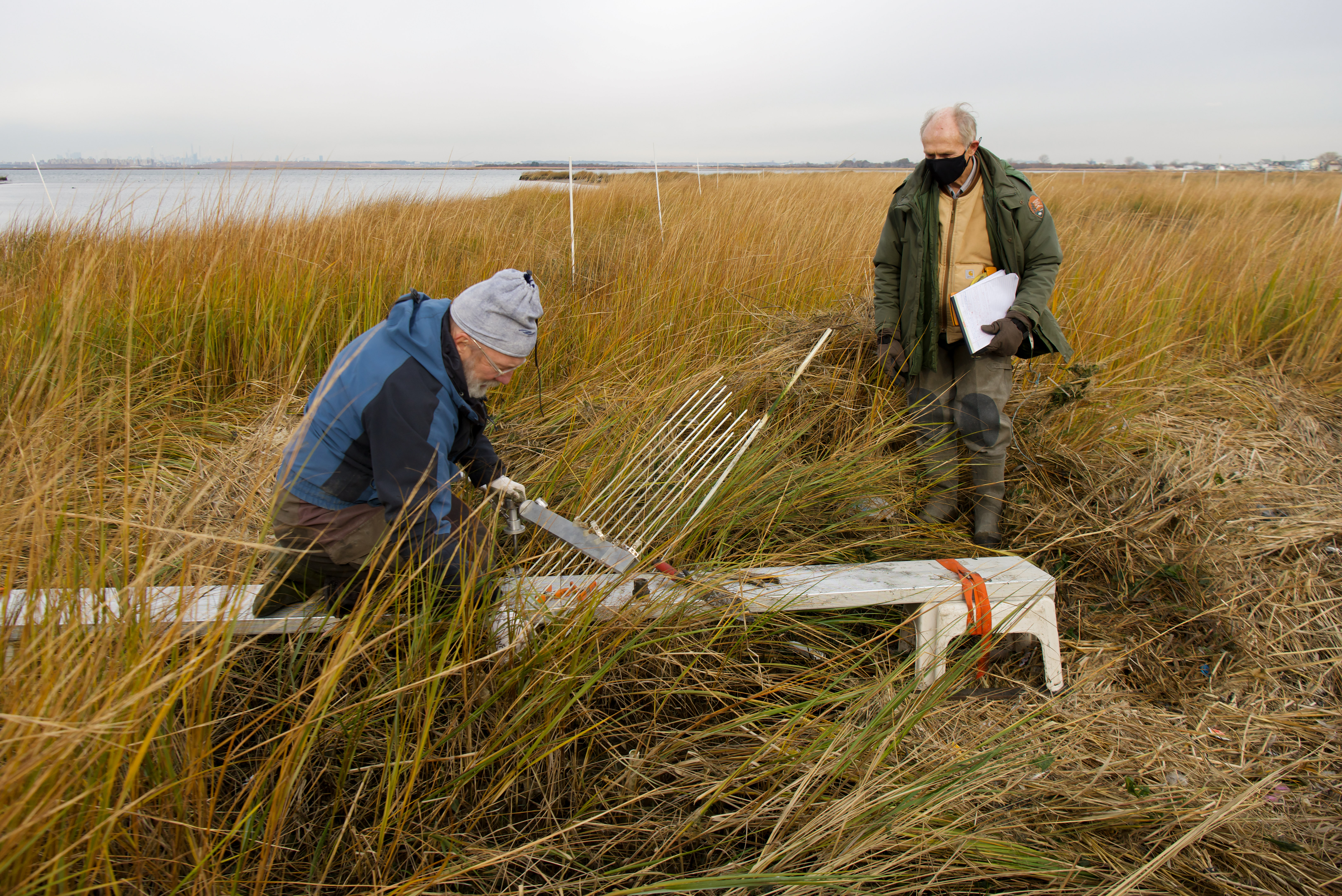 A field crew member sets up equipment in a salt marsh, while a park scientist stands nearby with a clipboard