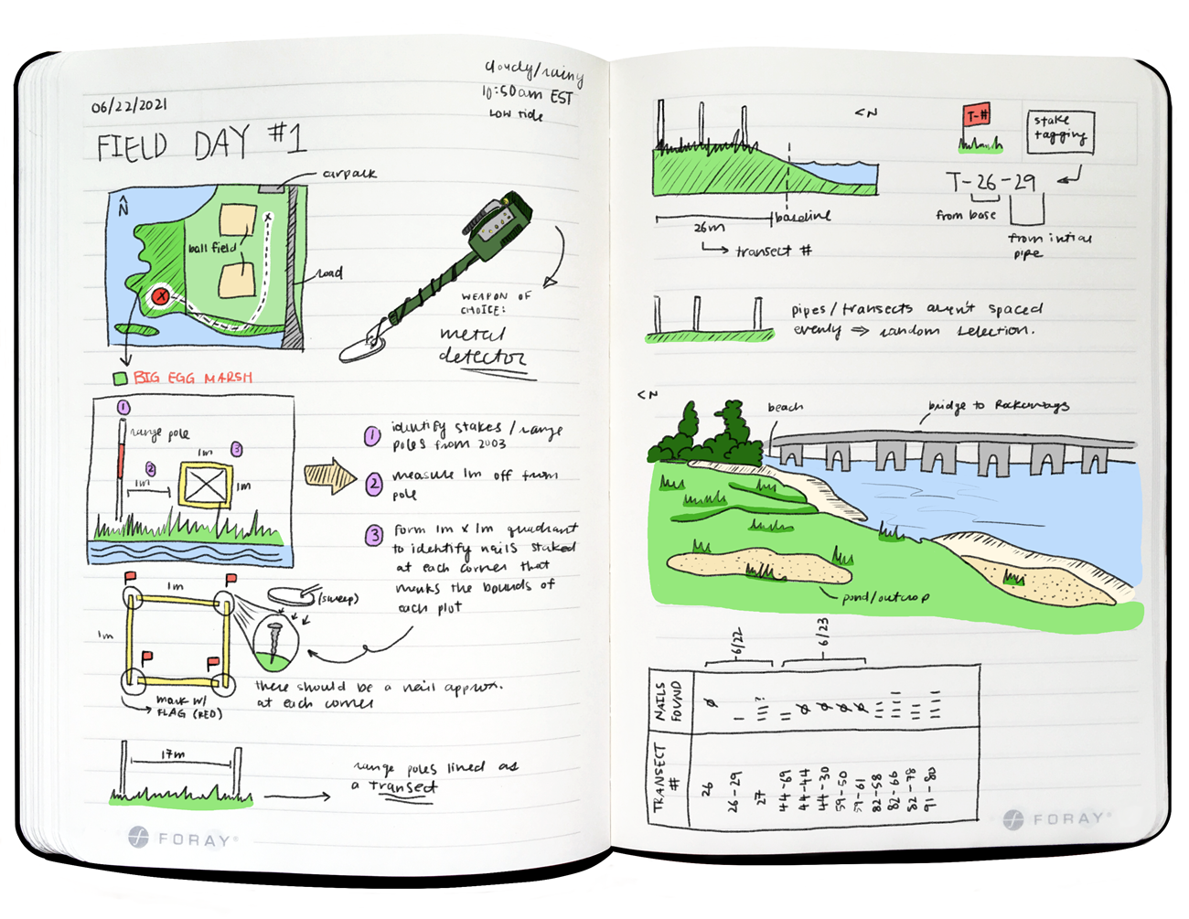 Notes from fieldwork at Big Egg Marsh