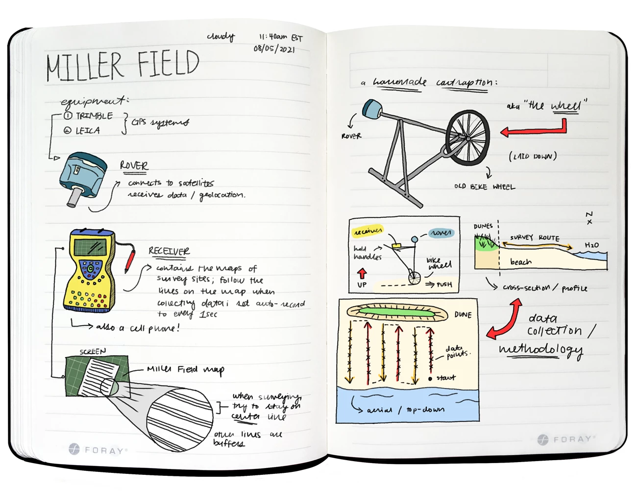Field notes from Gateway NRA A two-page spread of a field journal with colored illustrated diagrams and handwritten notes