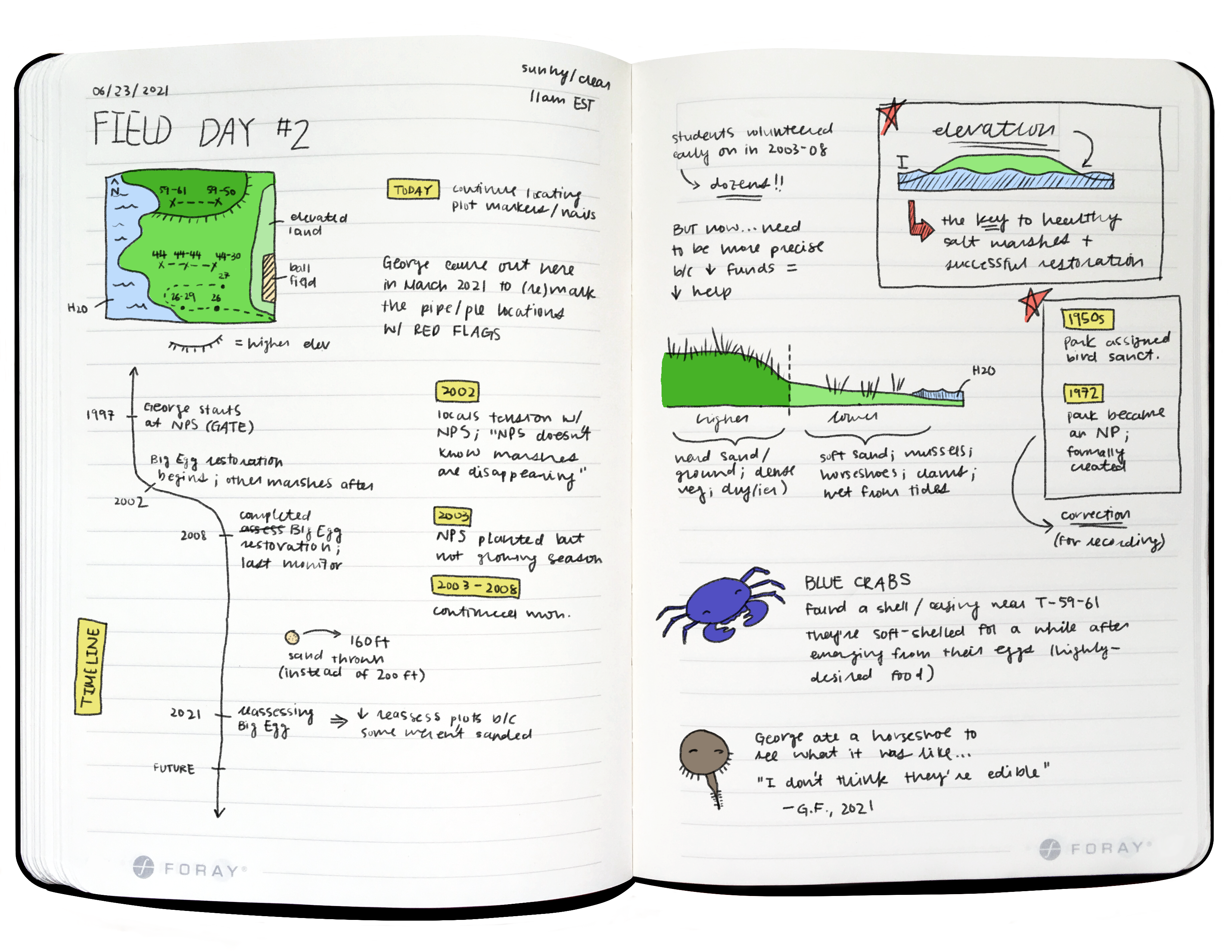 A two-page spread of a field journal with colored illustrated diagrams and handwritten notes