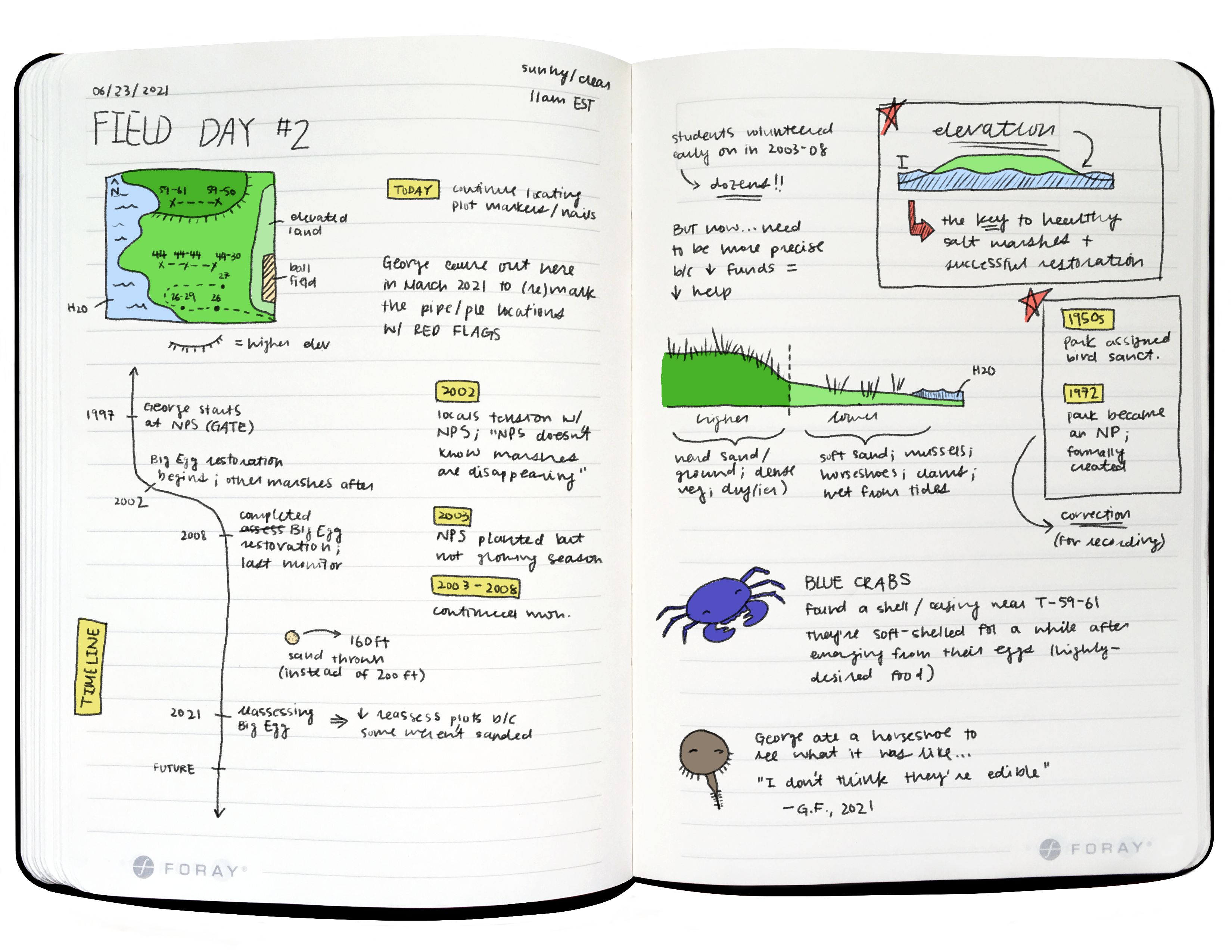 Field notes from Gateway NRA A two-page spread of a field journal with colored illustrated diagrams and handwritten notes