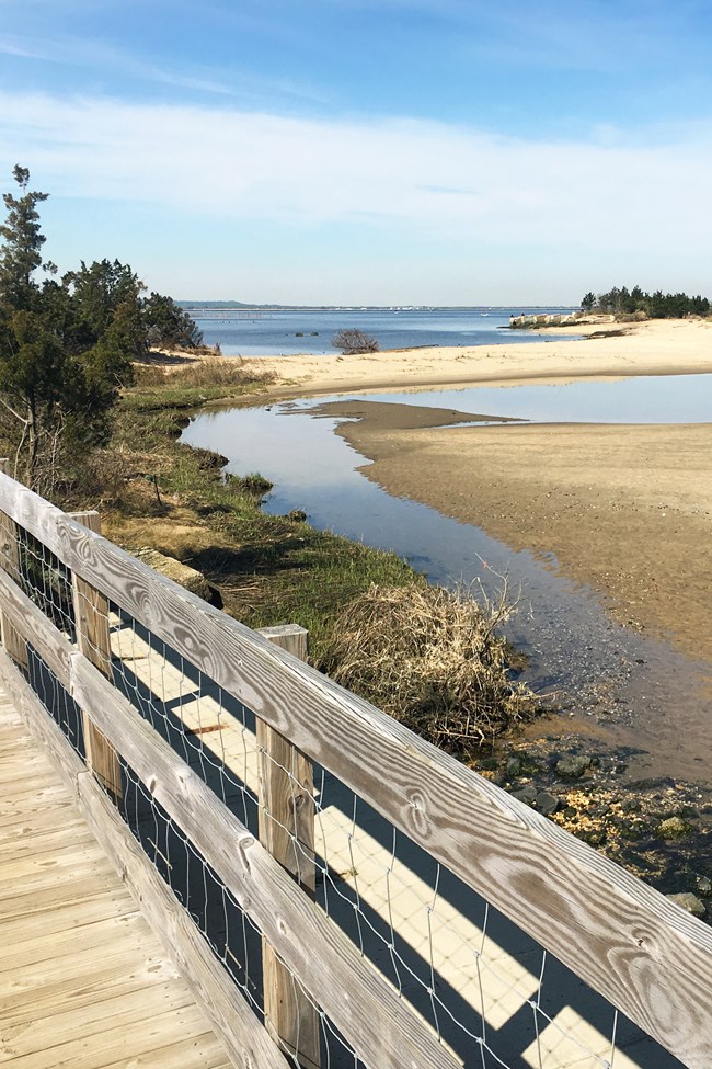 Boardwalk at GATE A boardwalk by a sandy shore with shallow waters and lined with trees