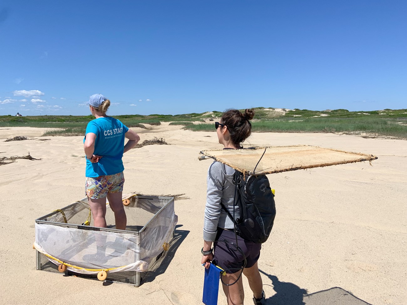 Two field crew members stand look into the distance towards the left on a sandy beach. One stands in a square netted frame, the other stands with a rectangular net on her shoulders.