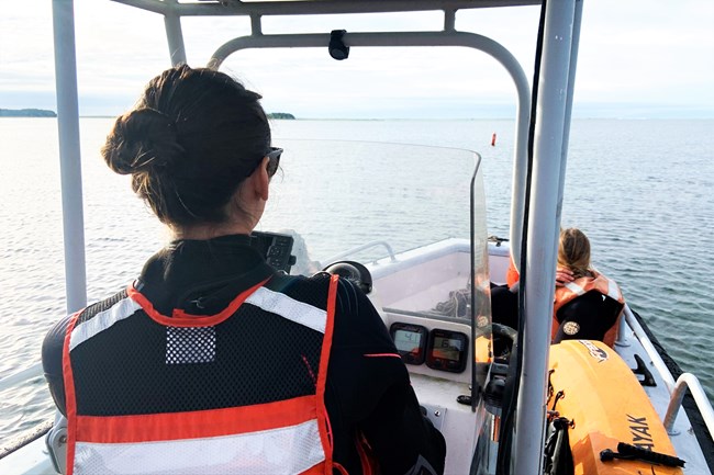 Researcher steers a boat through an estuary