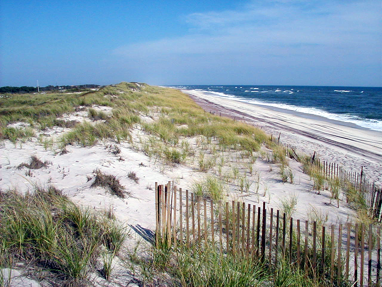 Fire Island National Seashore Dunes and Beach at Fire Island National Seashore.