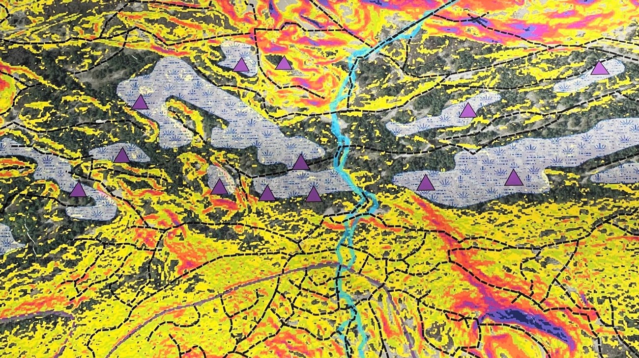 Closeup of vibrant map, with areas of yellow, purple triangle markers, and a light blue trail