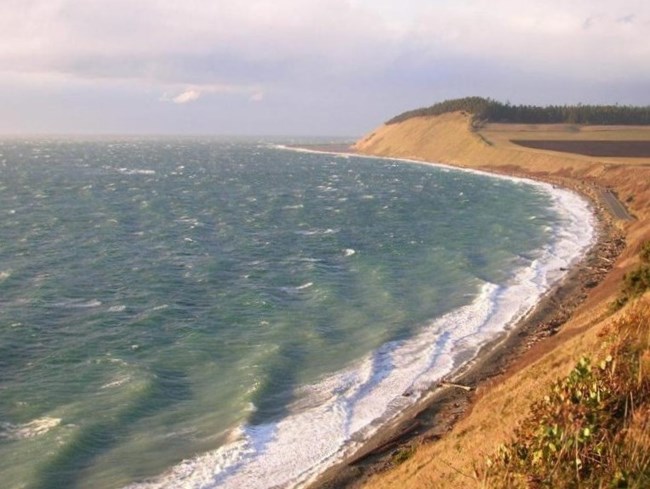View of coastline with high surf and windswept bluff