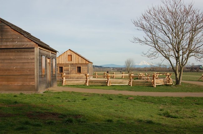 Reconstructed buildings of Fort Vancouver in meadow and Mount Rainier in background