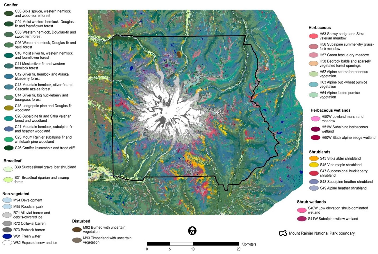 Mount Rainier National Park vegetation map Map showing patterns of the vegetation communities in the park, including 14 conifer communities, followed by 7 herbaceous, 5 shrubland, 7 non-vegetated, 3 herbaceous wetland, 2 shrub wetland, and 2 broadleaf communities as well as 2 disturbed classes.