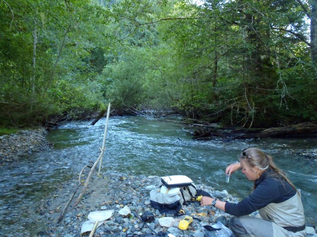 Technician wearing waders and collecting water sample on gravel bar in a river