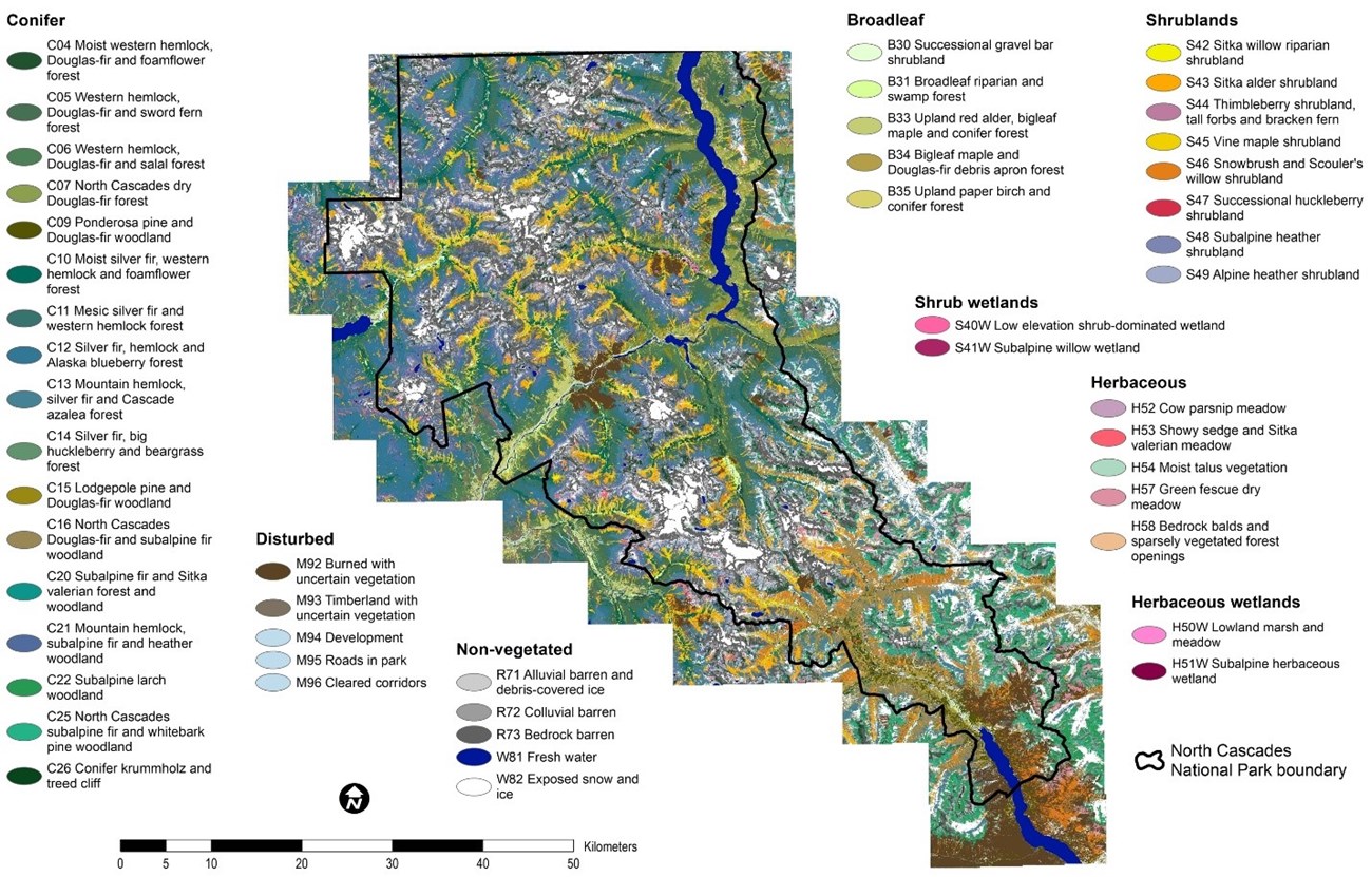 North Cascades National Park vegetation map Map showing patterns of the vegetation communities in the park, including 17 conifer communities, followed by 5 broadleaf, 5 herbaceous, 8 shrubland, 5 non-vegetated, 2 herbaceous wetland, and 2 shrub wetland communities as well as 5 disturbed classes.