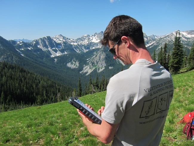 Man in gray t-shirt recording data on a field form in a subalpine meadow.