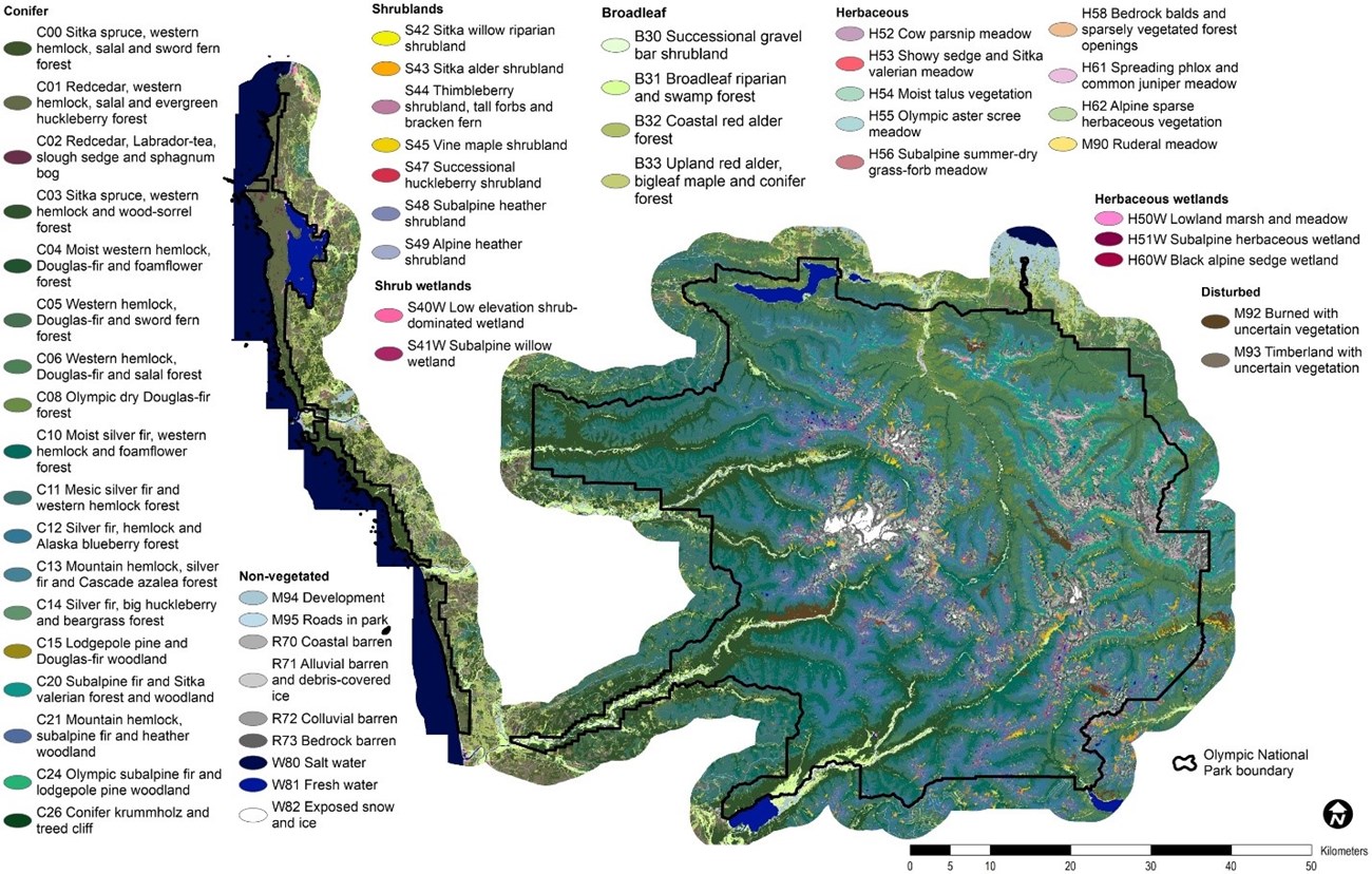 Olympic National Park vegetation map Map showing patterns of the vegetation communities in the park, including 18 conifer communities, followed by 4 broadleaf, 9 herbaceous, 7 shrubland, 9 non-vegetated, 3 herbaceous wetland, and 2 shrub wetland communities as well as 2 disturbed classes.