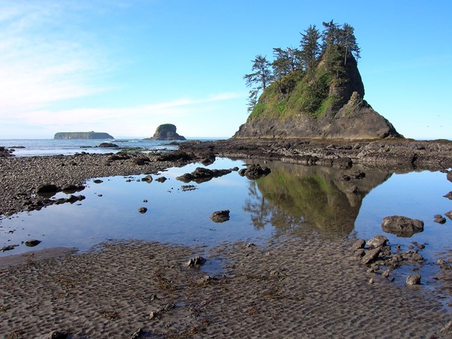 Ocean tidal pools and small exposed island with trees