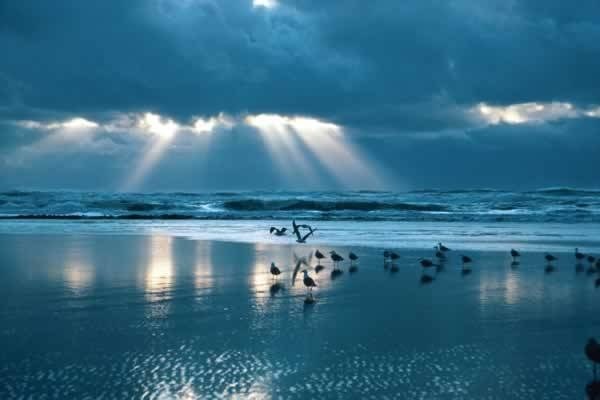 Sunset light filtering through clouds on beach with gulls
