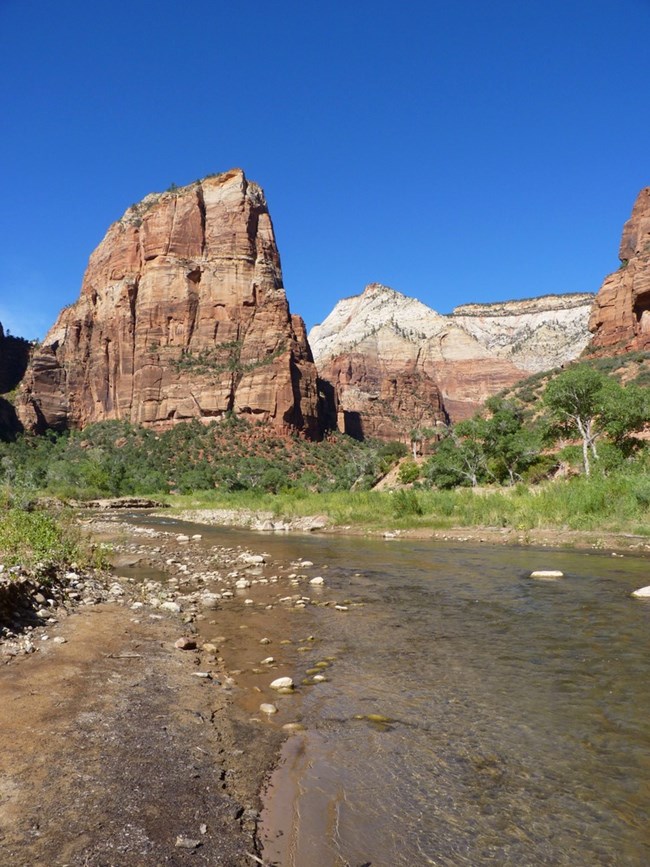The Virgin River flows beneath Angels Landing, one of the most iconic landmarks in Zion Canyon. Angels Landing rises above the Virgin River on a clear summer day.
