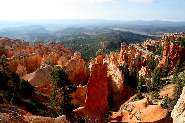 Red rock hoodoos in foreground, pine-covered mountains in background