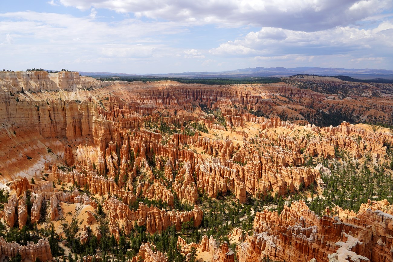 Bryce Canyon amphitheater Downward view from the canyon rim of the semi-vegetated rock cliff with orange hoodoos. Pine trees grow in the foreground.