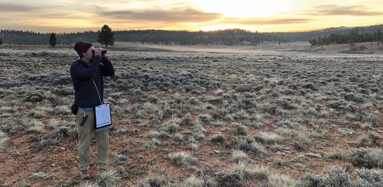 A man wearing a clipboard looks through binoculars at dawn in field of sagebrush