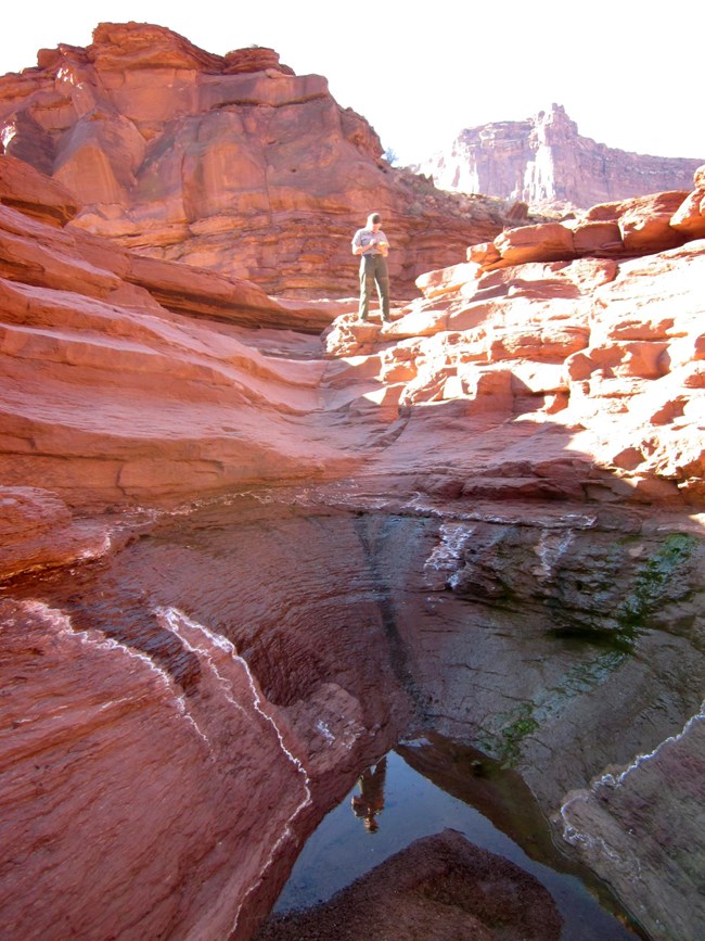 Person reflected in spring