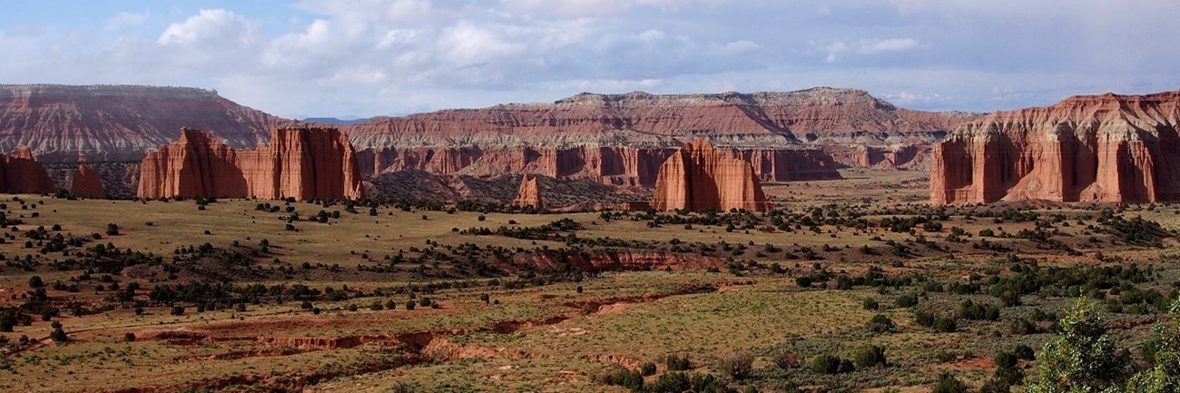 Red rock cliffs with shrubs and grassland in foreground