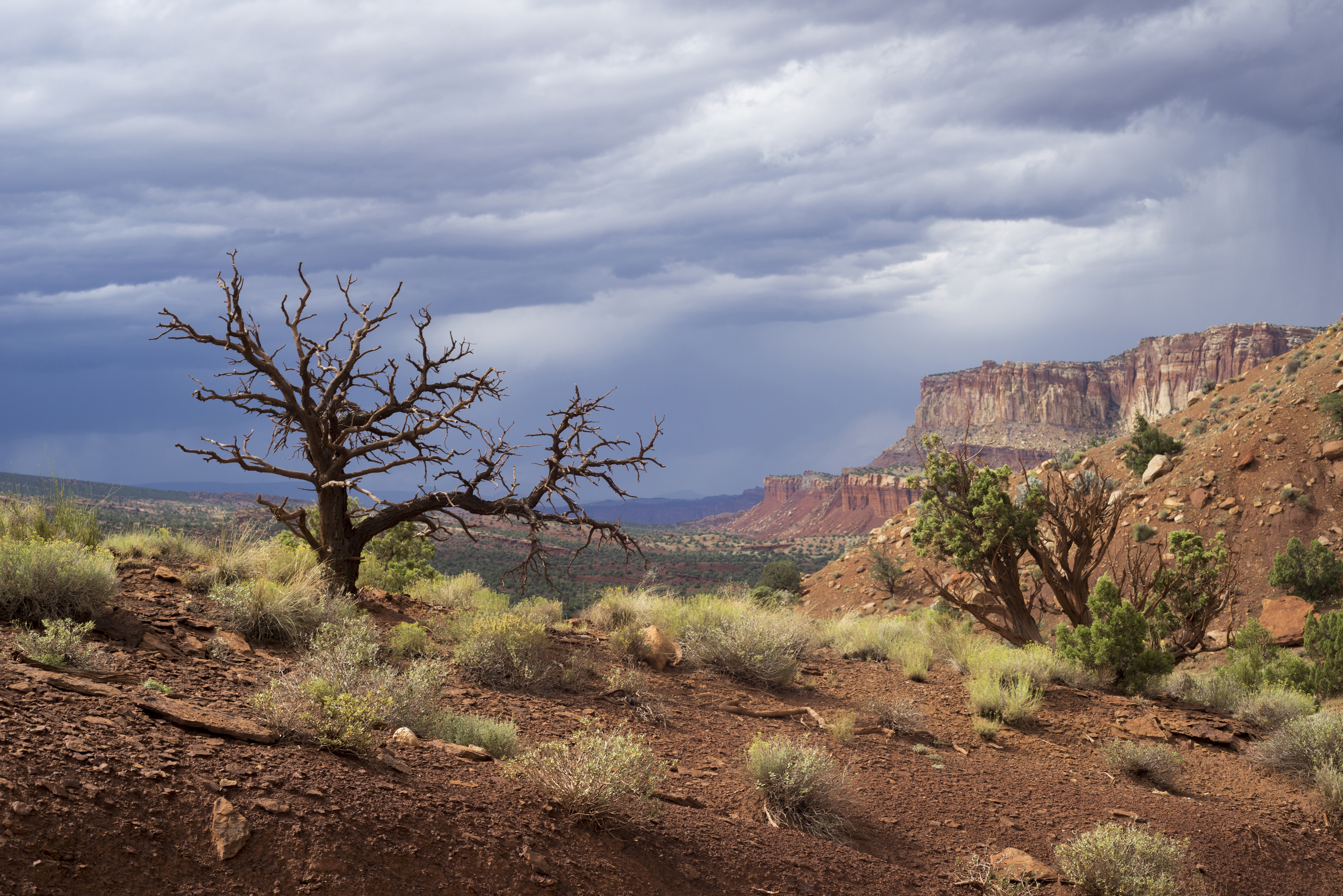 Thunderclouds over vast red rock landscape with junipers. Thunderclouds over vast red rock landscape with junipers.