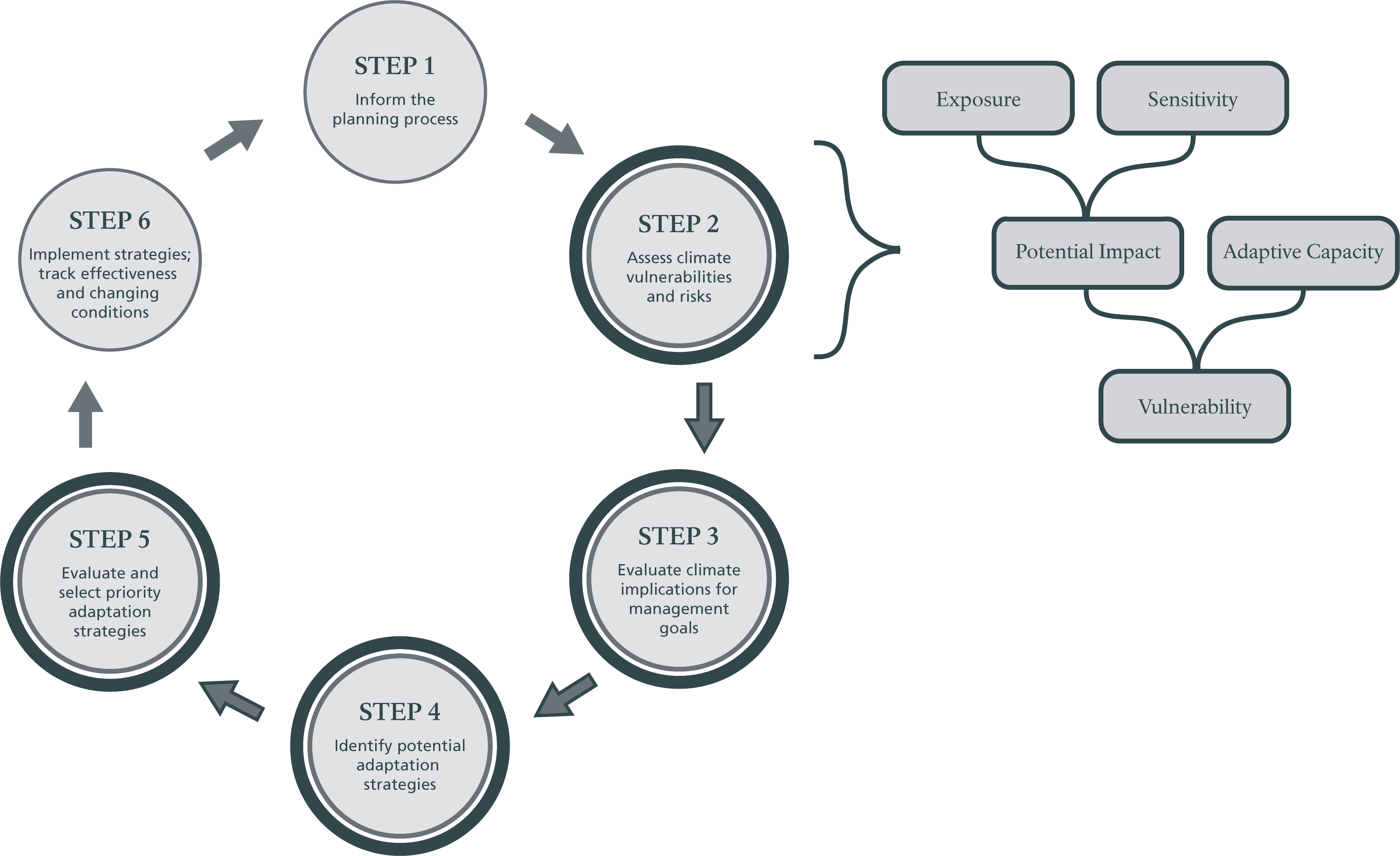Flow chart showing steps of Climate Smart Conservation process