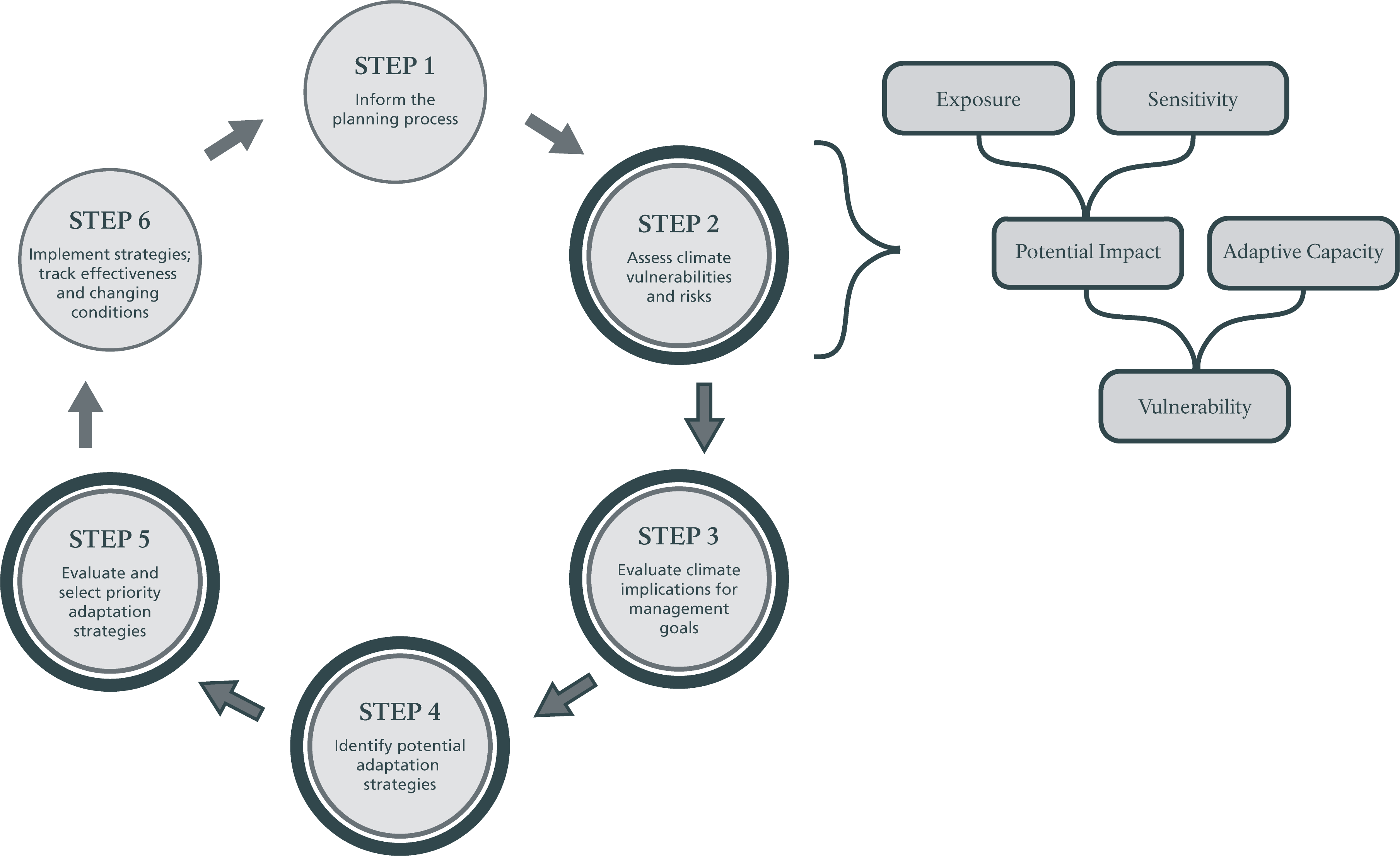 CSC Flow Chart Flow chart showing steps of Climate Smart Conservation process