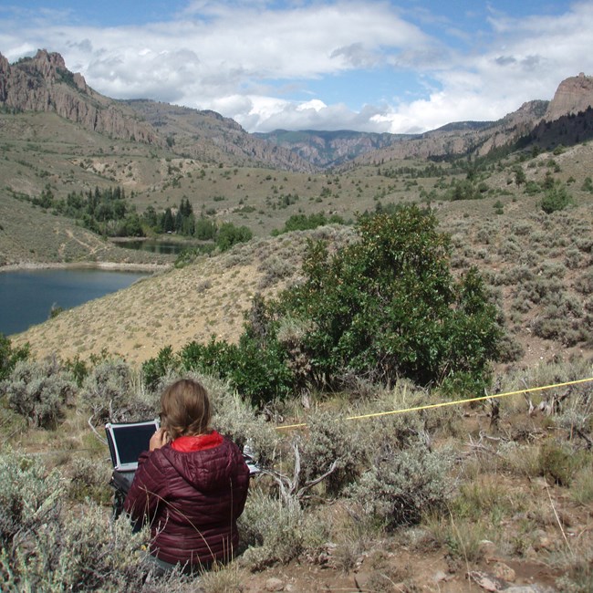 Person uses a field laptop next to transect tape above a lake Person uses a field laptop next to transect tape above a lake