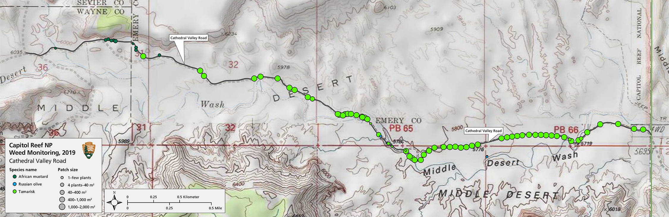 Road map with green dots representing weed patches