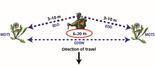 Effective Detection Distance diagram Figure 2. Diagram illustrating the Effective Detection Distance (EDD) and Effective Detection Swath Width (EDSW) for monitoring at Curecanti NRA.