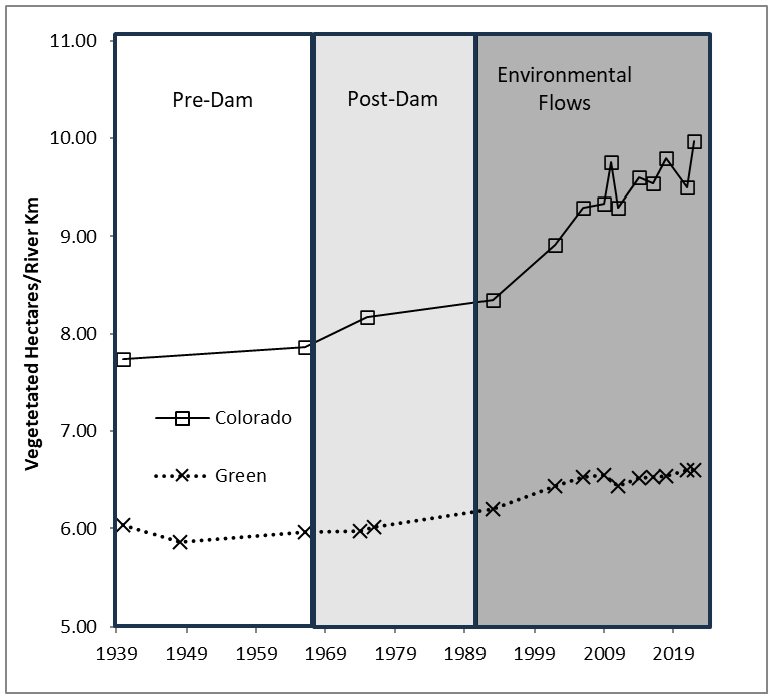 A chart shows a larger increase in vegetated area on the Colorado River than on the Green River. It also shows both rivers have responded similarly since the 2011 high flows.