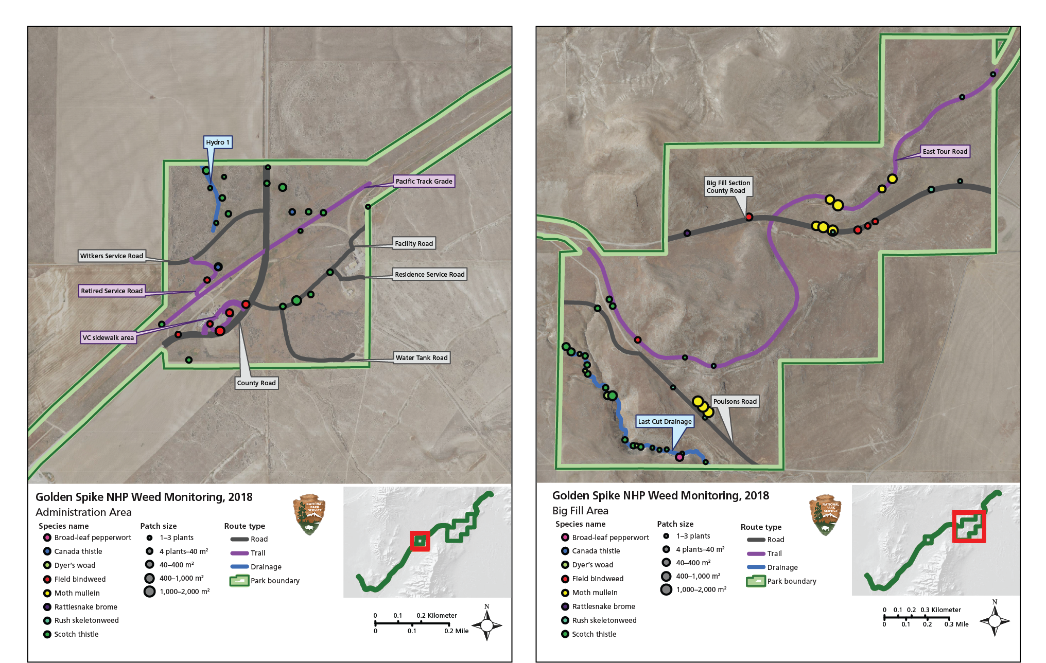 invasive plant maps Maps of monitoring areas. Monitoring routes are marked, and color- and size-coded circles indicate the type and location of invasive-plant patches.